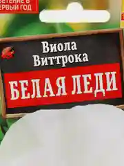 Виола виттрока Белая Леди (семена) / Аэлита