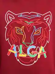 Красный спортивный детский костюм ALGA
