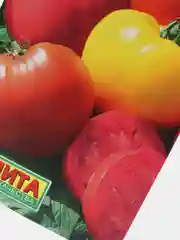 Семена Томат "Бычье сердце", смесь, 0.2 г