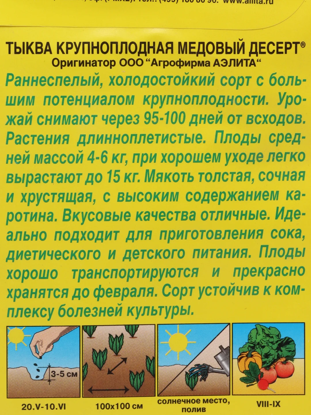 Семена Тыква крупноплодная "Медовый десерт", 1 г