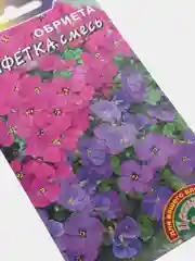 Семена цветов Обриета "Конфетка"