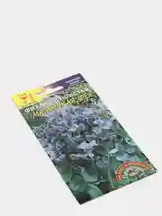 Семена цветов Фиалка "Маленькая фея"