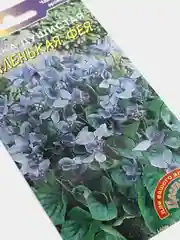 Семена цветов Фиалка "Маленькая фея"