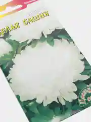 Семена цветов Астра "Белая башня"