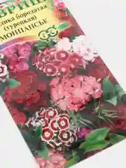 Семена цветы "Гвоздика Монпансье"