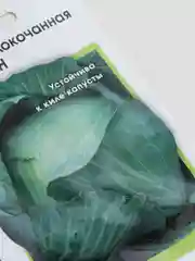 Семена Капуста "Килатон"