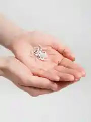 Серебряный броши "Насекомые", 7 видов