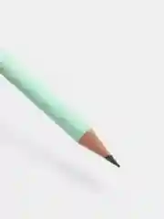Карандаш чернографитный заточенный Stabilo Schwan Pastel HB