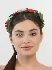 Белый ободок