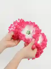 Алый ободок