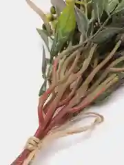 Розовый искусственные цветы боярышник, зелень, искуственная трава