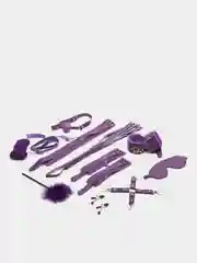 Фиолетовый набор БДСМ из экокожи, 10 предметов