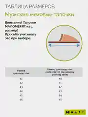 Коричневый тапочки мужские Holty из овечьей шерсти