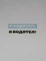 Наклейка на автомобиль "Я ВОДЯТЕЛ" - для не умных водителей