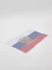 Наклейки Патриот с гербом  на стекла автомобиля 33,5х25см, ПВХ, 528-094