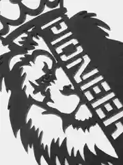 Черный грили для динамиков "PIONEER"