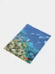 Папка уголок Sea World Морской мир А4, 150 мкм, цветная печать
