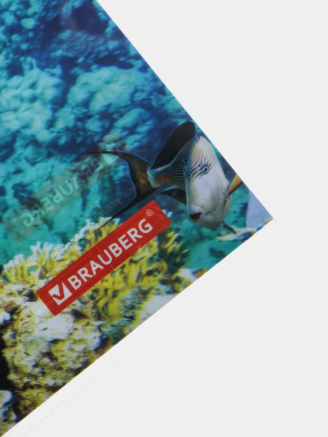 Папка уголок Sea World Морской мир А4, 150 мкм, цветная печать