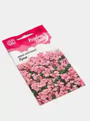 Семена цветы "Арабис альпийский Пунш"