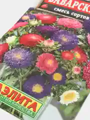 Астра Баварская (семена,цветы)