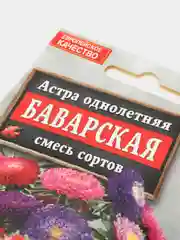 Астра Баварская (семена,цветы)