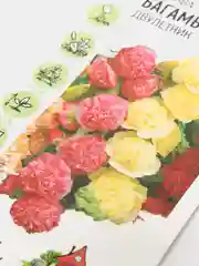 Семена Мальва "Багамы"
