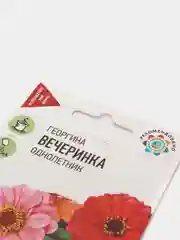 Семена Георгина "Вечеринка"