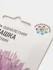 Семена цветов Астра "Милашка"