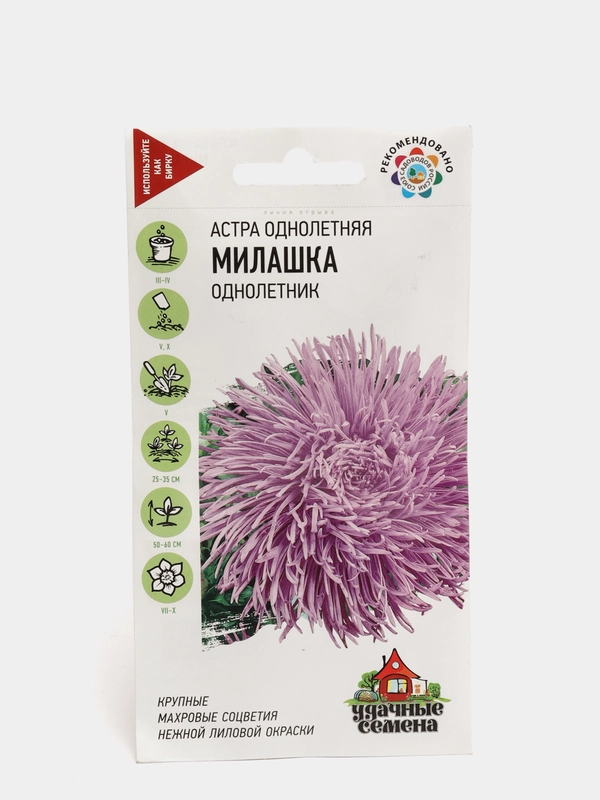 Семена цветов Астра "Милашка"