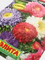 Астра Дачница (семена,цветы)