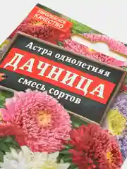 Астра Дачница (семена,цветы)