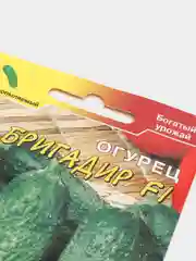 Огурец Бригадир F1 (семена)
