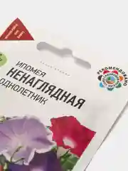 Семена цветка "Ипомея Ненаглядная"