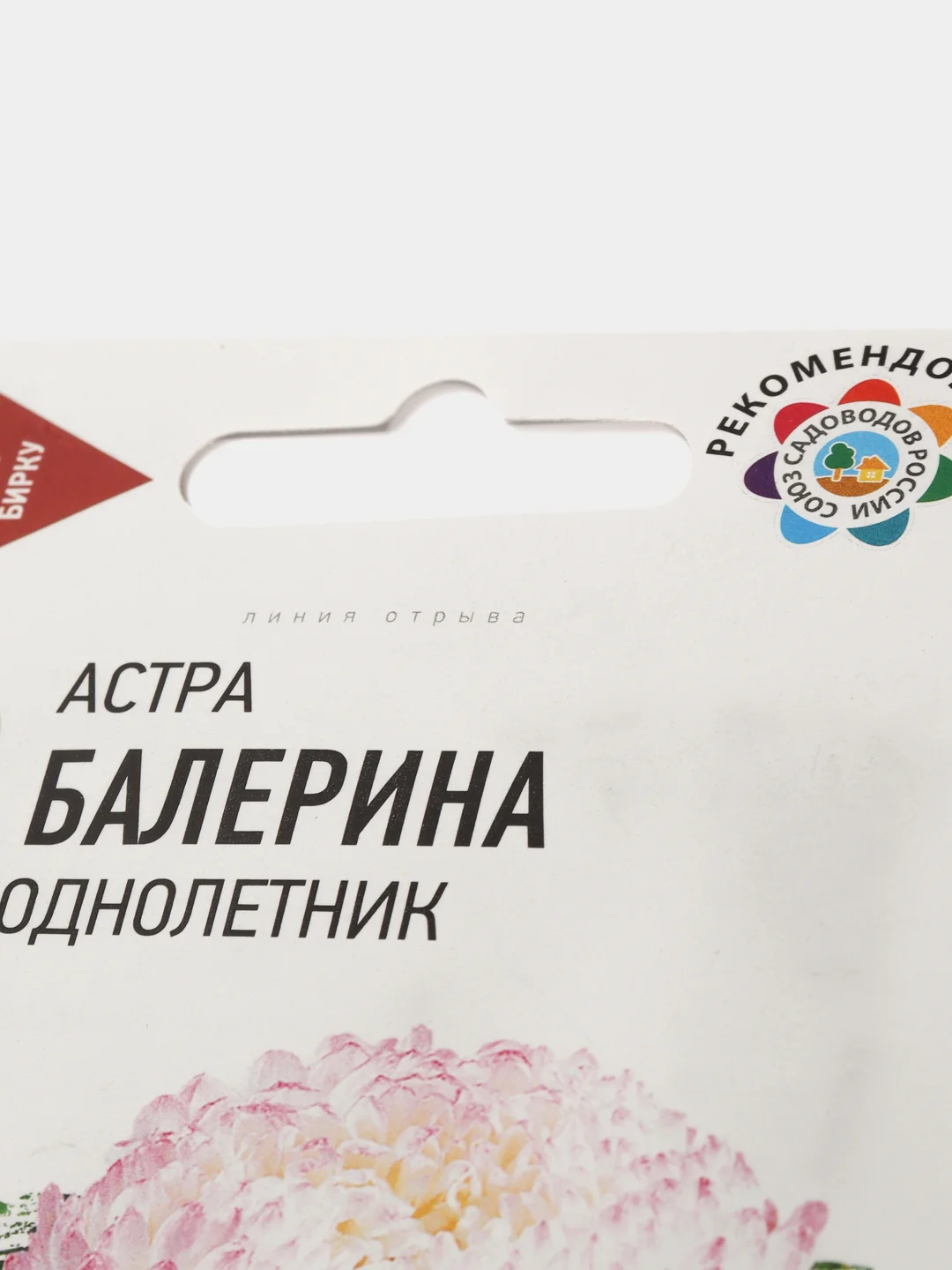Семена цветов "Астра Балерина"