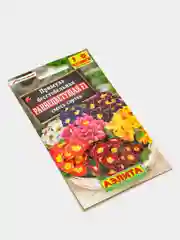 Семена цветов Примула "Раннецветущая"
