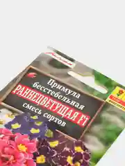Семена цветов Примула "Раннецветущая"