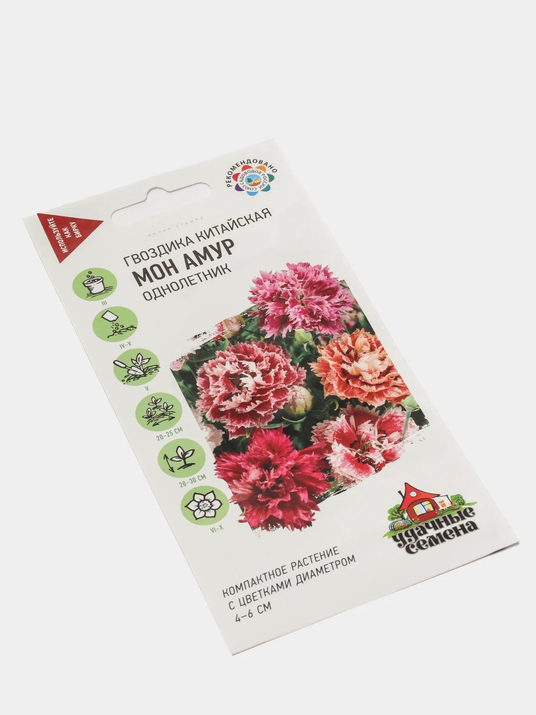 Гвоздика "Мон амур", семена, цветы