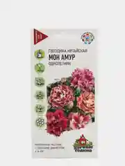Гвоздика "Мон амур", семена, цветы