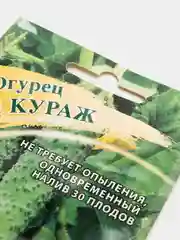 Огурец Кураж F1, семена