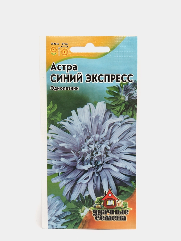 Астра "Синий экспресс", семена, цветы