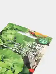 Семена Салат "Цезарь"