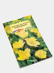 Энотера Пиноккио, семена, цветы
