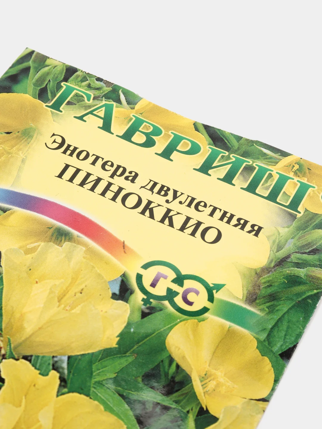 Энотера Пиноккио, семена, цветы