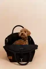 Бежевый автокресло для собак For Pets, автомобильное сидение с креплением для перевозки животных