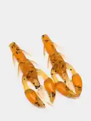 Хаки силиконовая приманка RAF, Dolive Craw (Рачок) 2.0, 50 mm, 8 шт