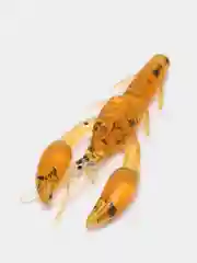 Хаки силиконовая приманка RAF, Dolive Craw (Рачок) 2.0, 50 mm, 8 шт