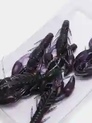 Фиолетовый силиконовая приманка RAF, Dolive Craw (Рачок) 2.0, 50 mm, 8 шт