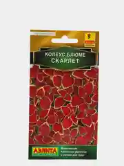 Семена Колеус Блюме "Скарлет"
