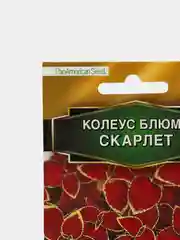 Семена Колеус Блюме "Скарлет"