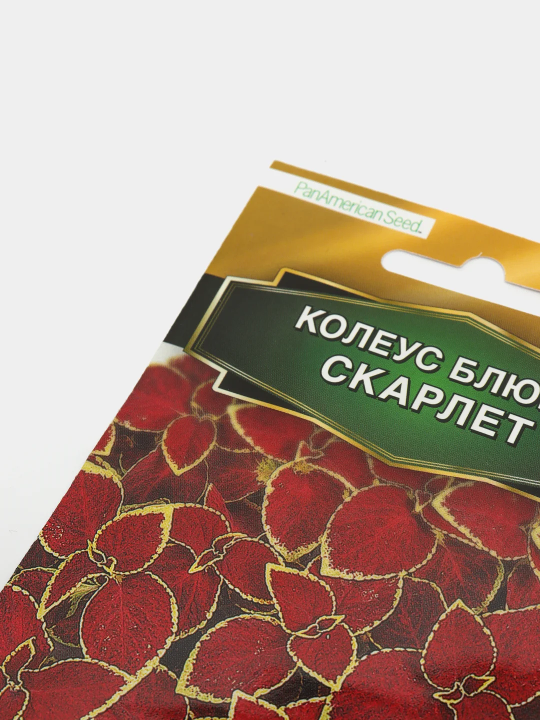 Семена Колеус Блюме "Скарлет"